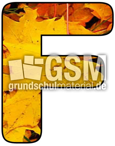 Herbstbuchstabe-2-F.jpg